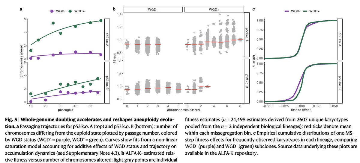 Noemi Andor tweet media