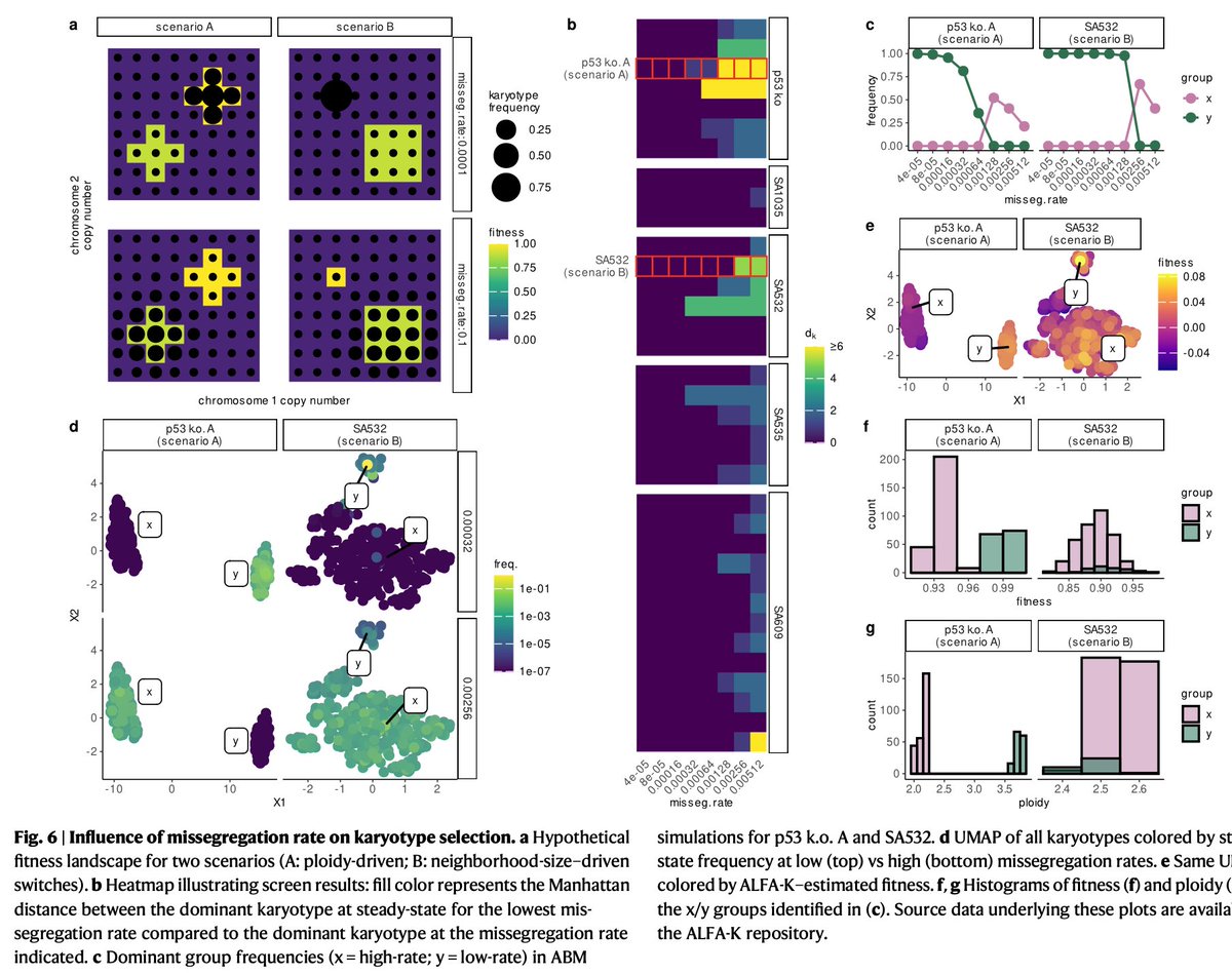 Noemi Andor tweet media
