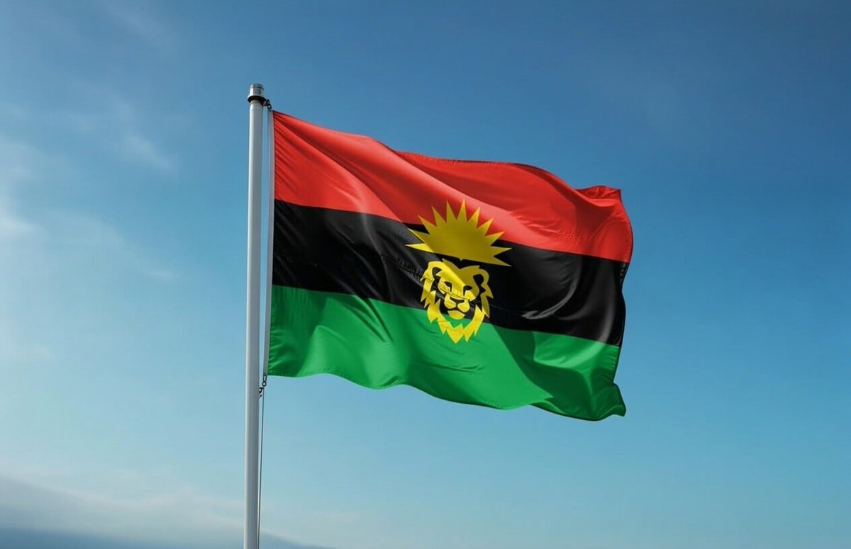 B_B_Rembow's tweet photo. In the promised promising land
of Biafra, every autonomous community has the right to build infrastructures, like roads, by themselves, or apply for that with their communal tax record to get government do it for them. 

All hail Biafra. https://t.co/sXIY8WPiF1