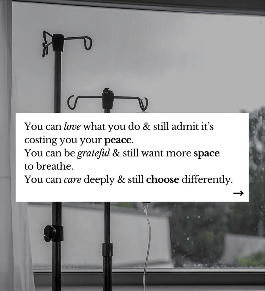 andrea booth tweet media