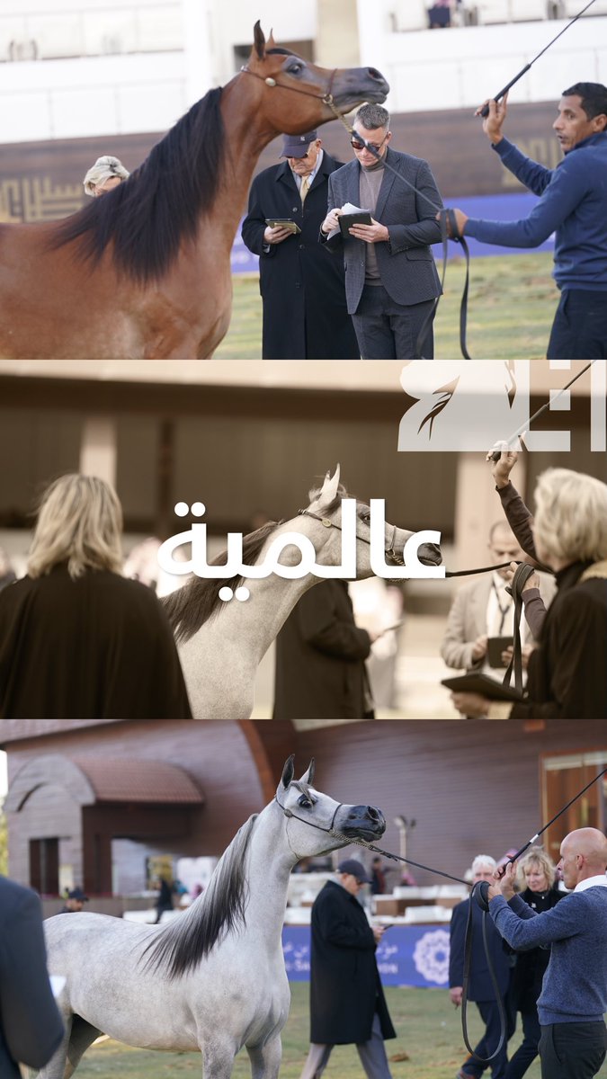 PSAIAHF | مهرجان الأمير سلطان tweet media