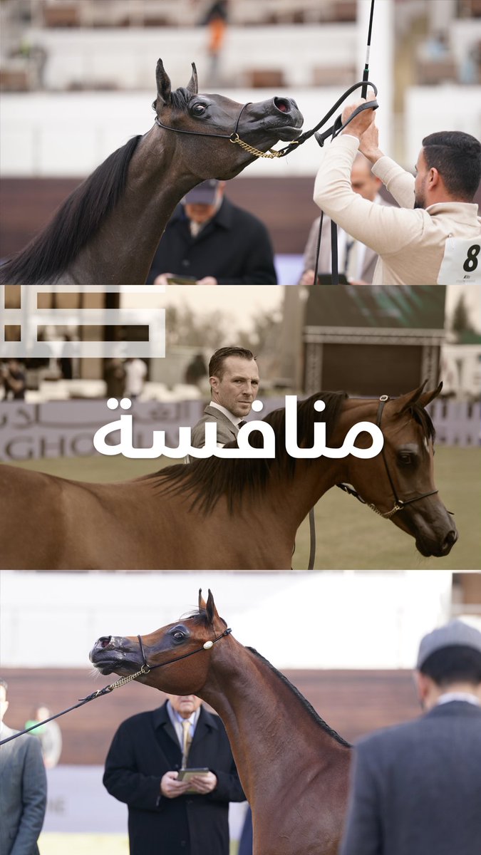 PSAIAHF | مهرجان الأمير سلطان tweet media