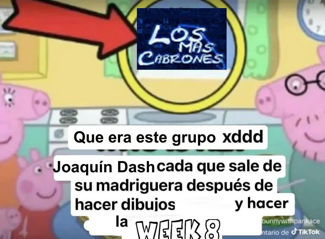 LMCerdos Posting tweet media