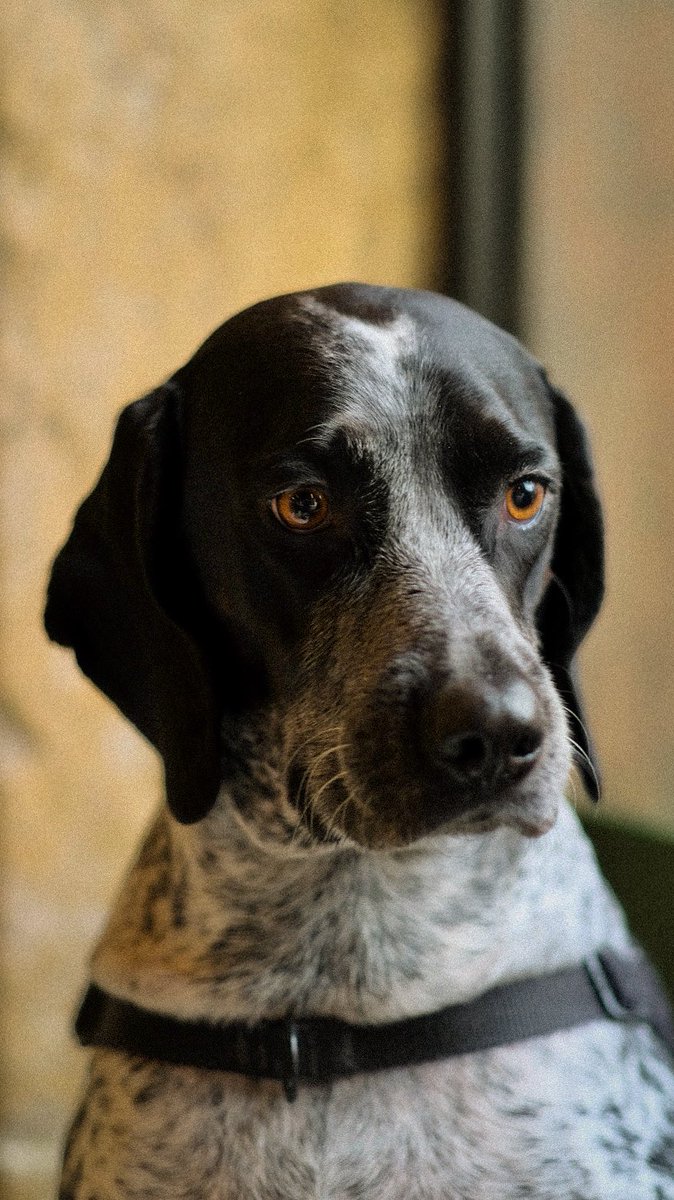 Günün portreleri.
Luna bebek
