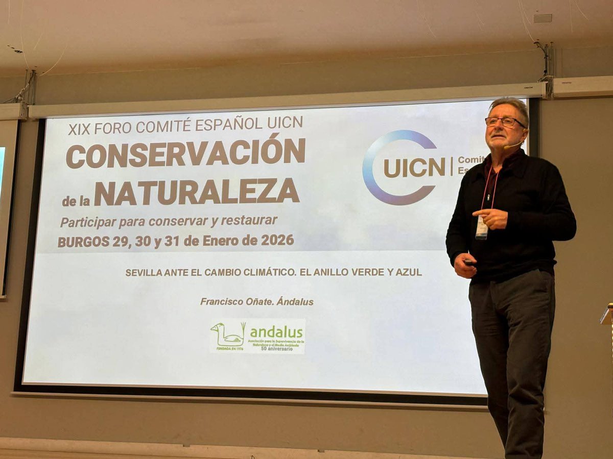 Red Sevilla por el Clima tweet media