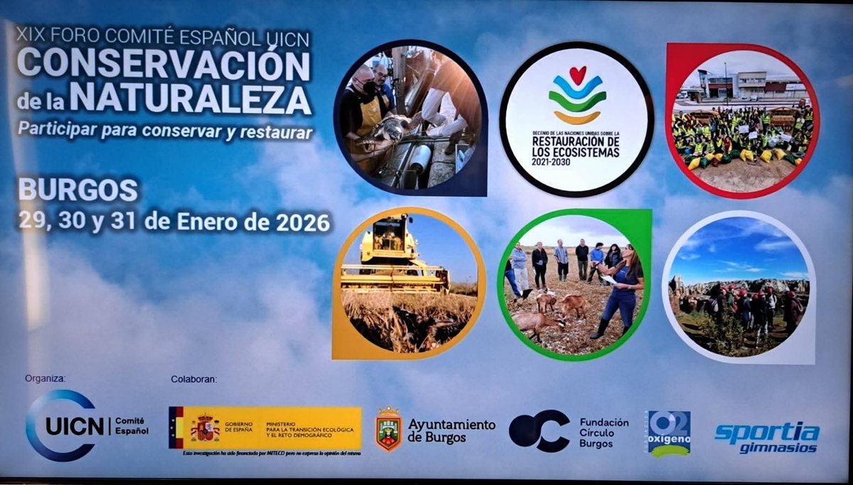 Red Sevilla por el Clima tweet media