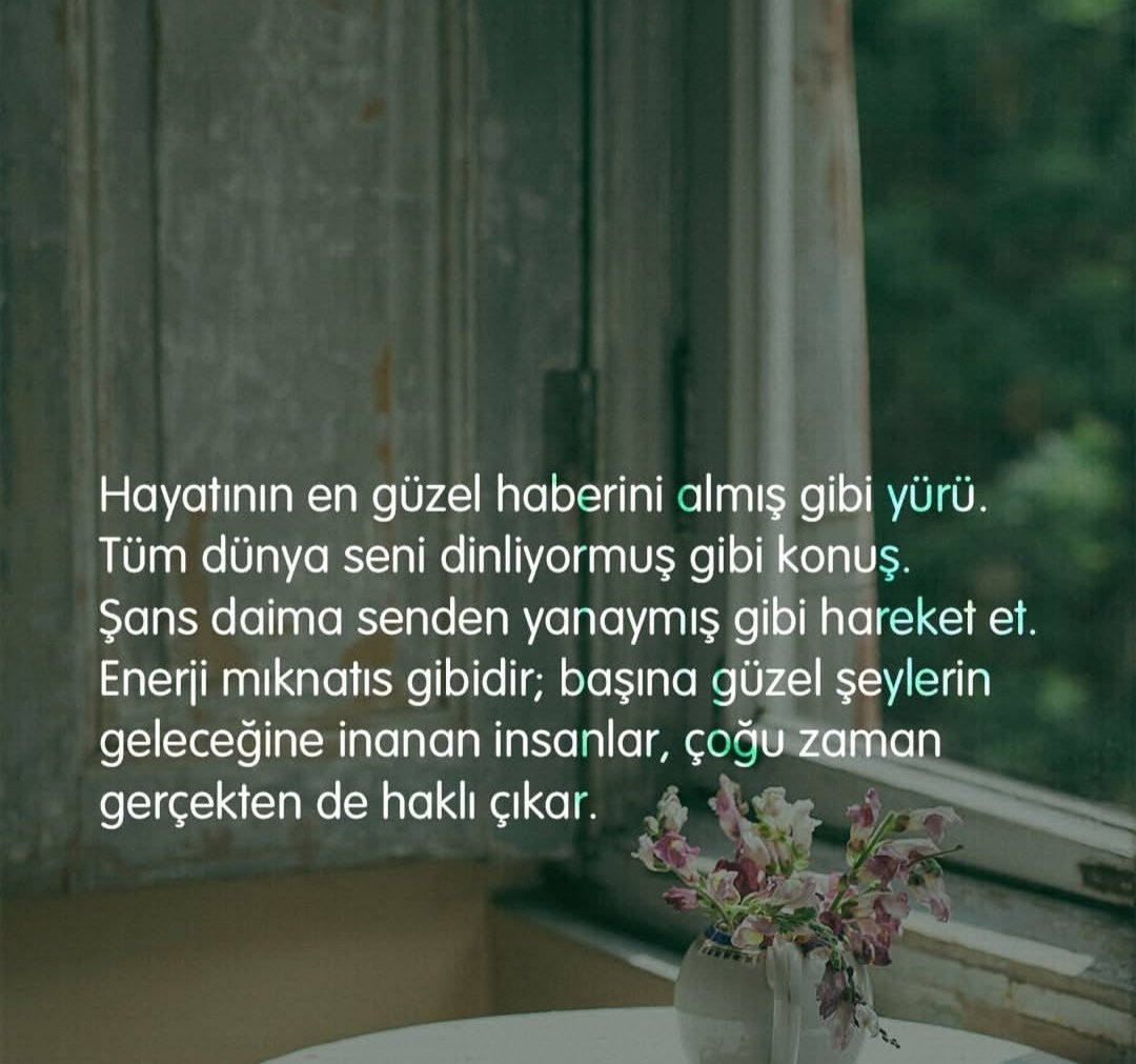 öz tweet media