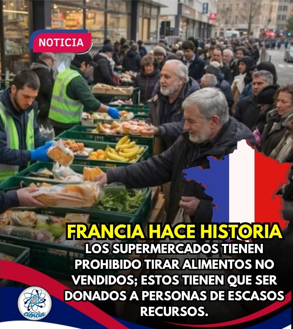 🇫🇷Antes, toneladas de comida comestible terminaban en la basura cada día.
Ahora, eso ya no está permitido por ley en Francia.

Ahora nada se desperdicia, todo debe donarse a personas necesitadas o a organizaciones benéficas.

La medida busca frenar el desperdicio de alimentos y,