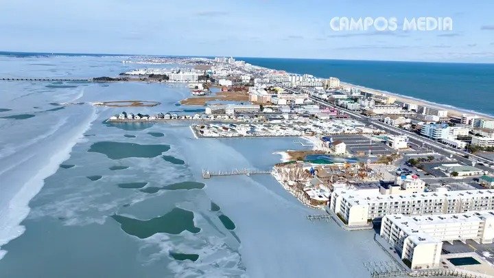 🎠 All Things OC 🎠 tweet media