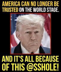 Meliza 🌊 🇺🇸 🇨🇦 tweet media