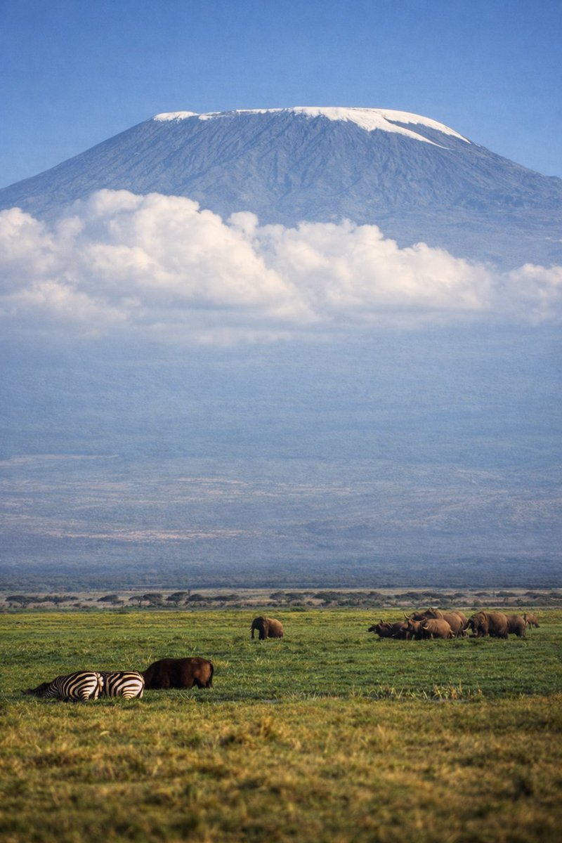 jrambaud's tweet image. “Gigantes” del planeta. 1) #Everest 8848 msnm. El de mayor altitud absoluta. Cara norte #Tibet 2) #MaunaKea 4207m altitud 10205 m altura ( desde su base, submarina ) 3) #Chimborazo #Ecuador 6263 msnm el más alejado del centro 🌎 4) #Kilimanjaro #Tanzania 👇