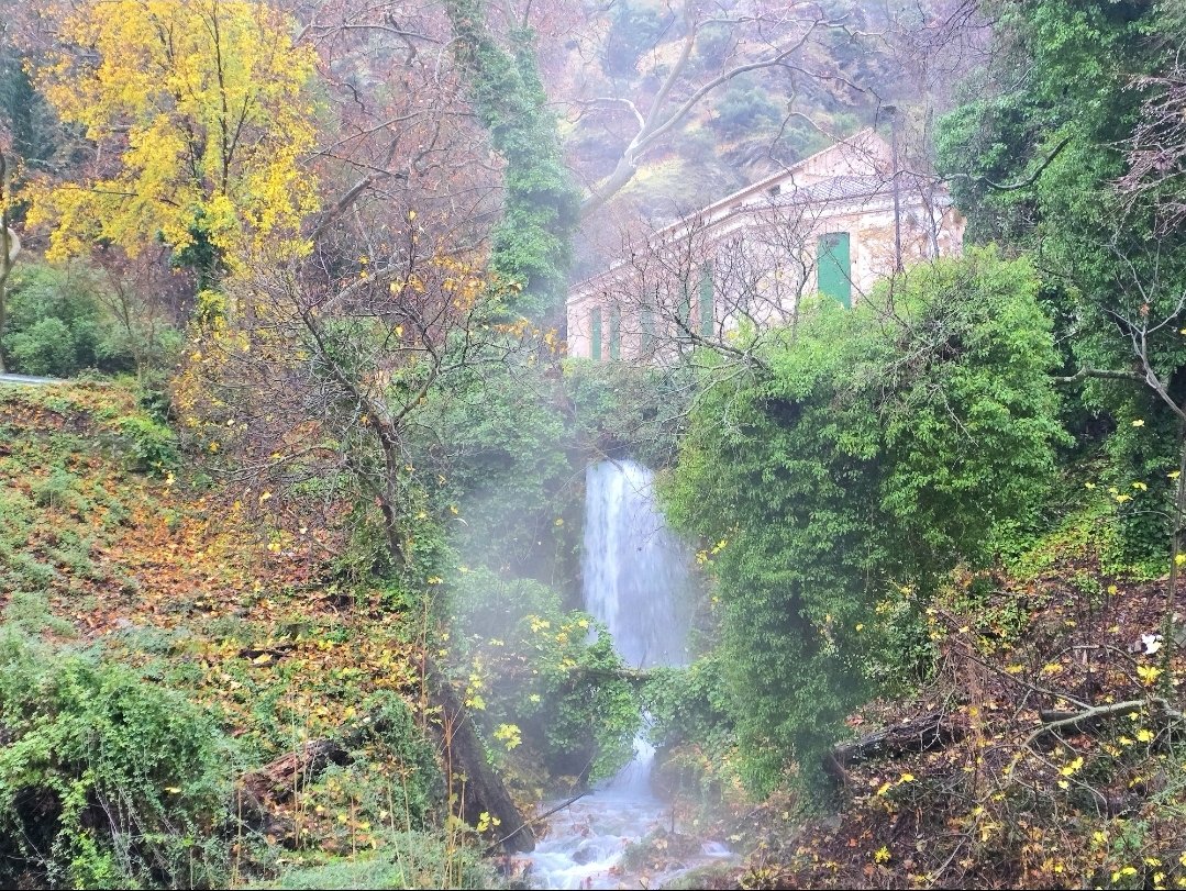 Enero 2026:
Un mes para recordar en Jaén.
Varias nevadas han vestido de blanco las sierras que abrazan a la ciudad.
Los ríos, arroyos y cascadas desbordando agua y vida a nuestros paisajes. 

Media máx: 12 °C🌡⬆️
Media mín: 4,9 °C🌡⬇️
Precipitación: 211,6 mm🌧

Gracias Enero!🤩