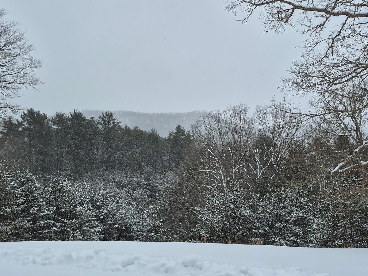 My mountain view!