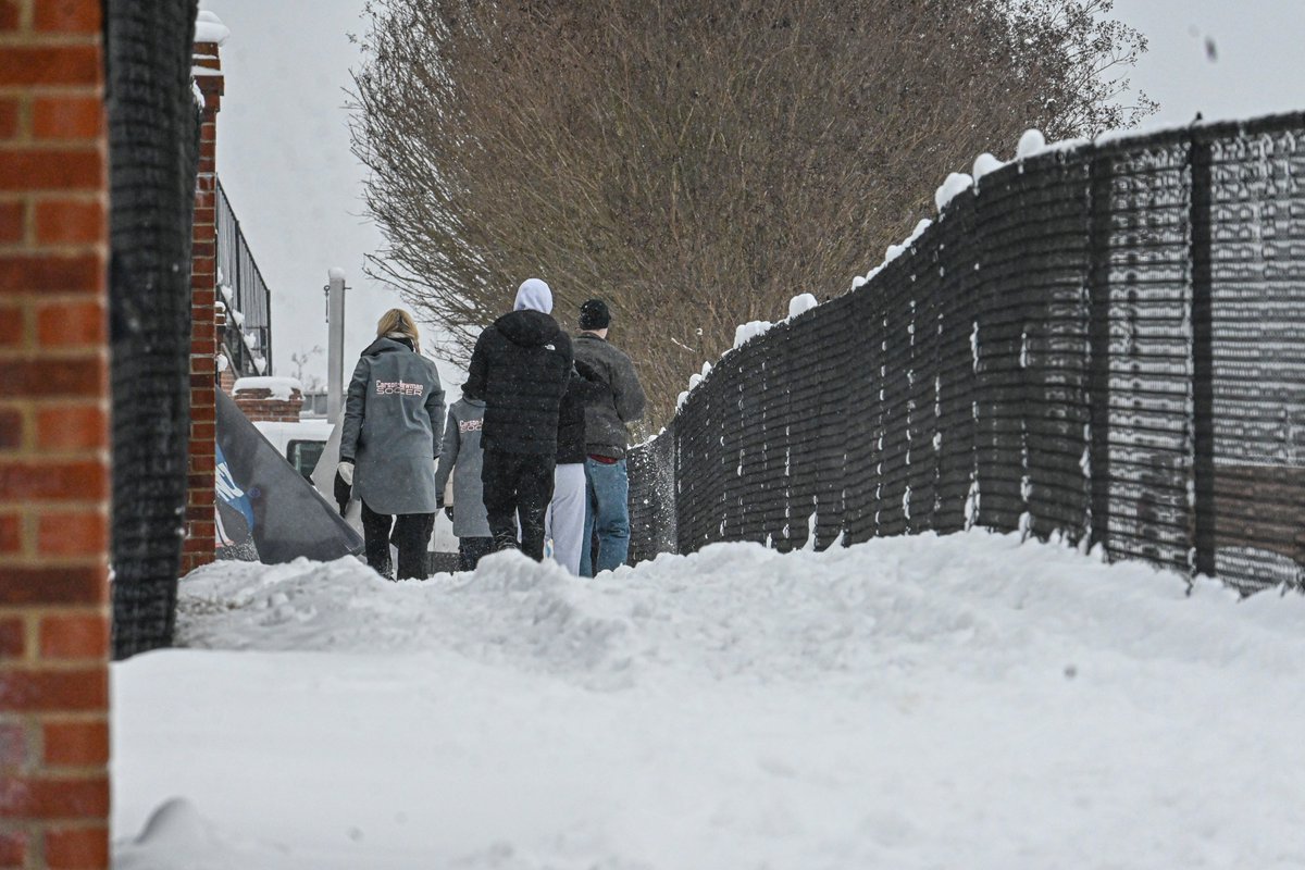 Carson-Newman Athletics tweet media
