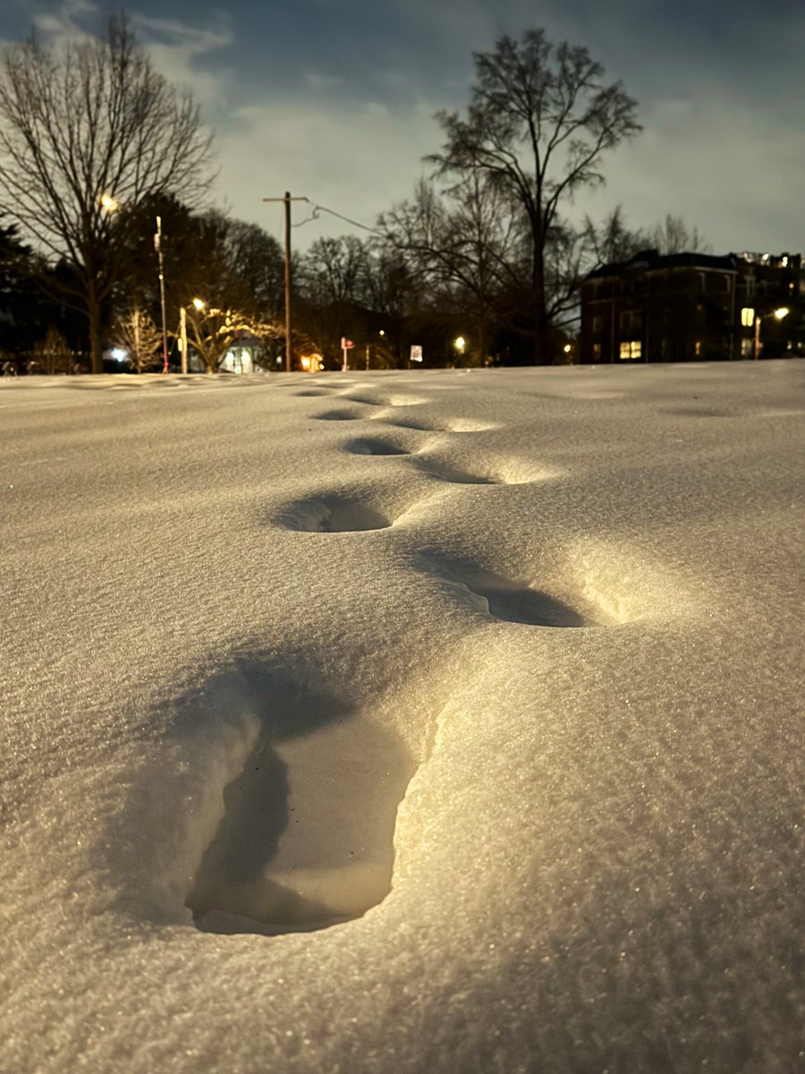 Straight ice. Where’s the snow they talked about?