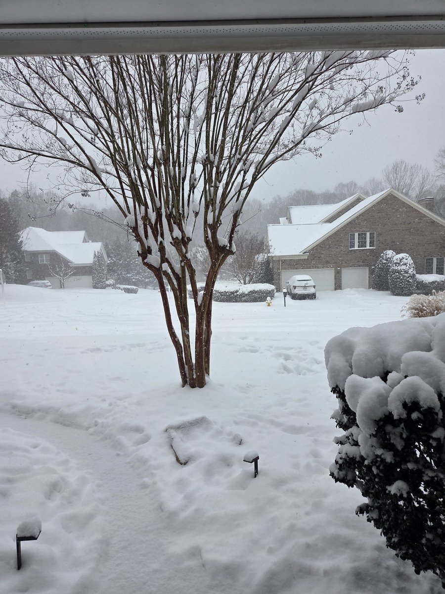 psuanimal's tweet photo. Charlotte NC #snOMG
5 inches and still coming down heavy https://t.co/oUQB4wS353