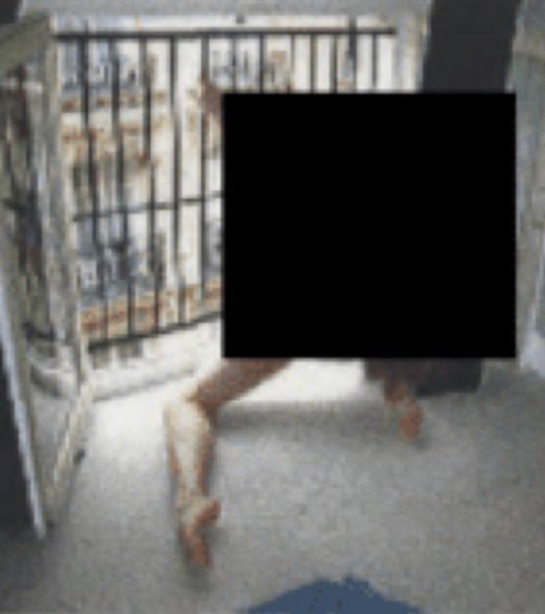 🚨URGENTE - Epstein mantinha uma de suas vítimas trancada em uma jaula, documentos revelam