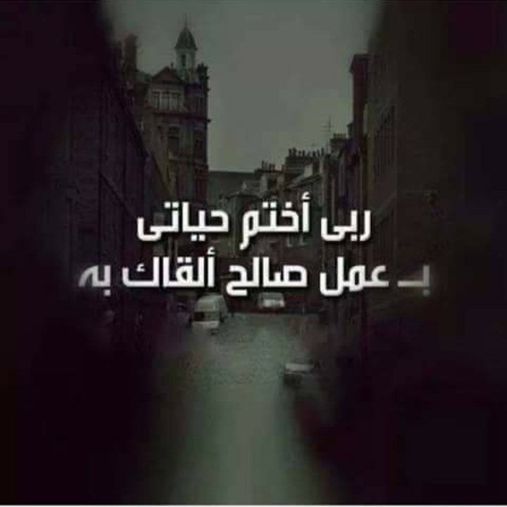 Fouad_2_'s tweet image. تابعو بعض ورتويت🔁للدعم نستفيد كلنا وتزيدو
@i8l_i8
@Mo2__f
@celaa162
@Fouad_2_
@Fouad_3_
@271_abo
@ALSAAHL
@Maha0283
@KentoddyM
@alibinali246
@Esaam_al_d
@M_____7MM
@Sadan2030z
@Saleh_talleb
@S_ProudIndian
@aml_mry69640
 @abw_althla97176
@5O8U8
@9f6xs
@abduh_ammar