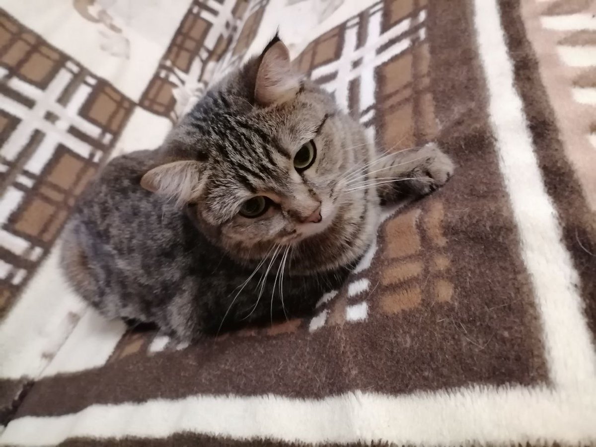 хвастаюс котом и кощкой))