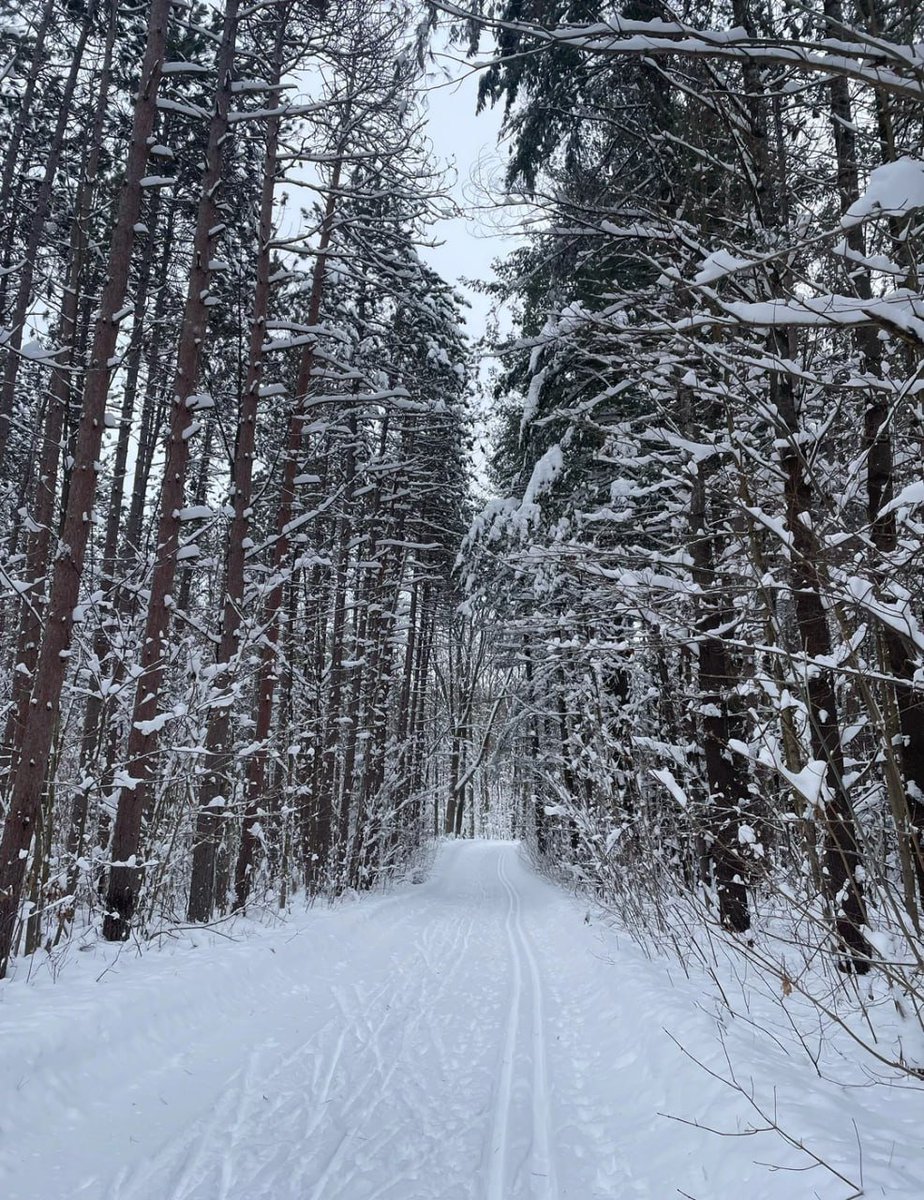 Lara😘 tweet media