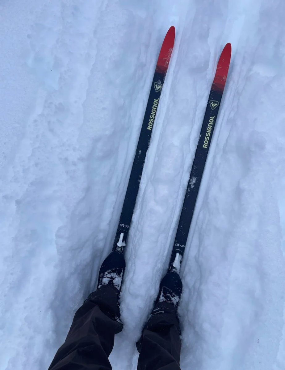 Lara😘 tweet media