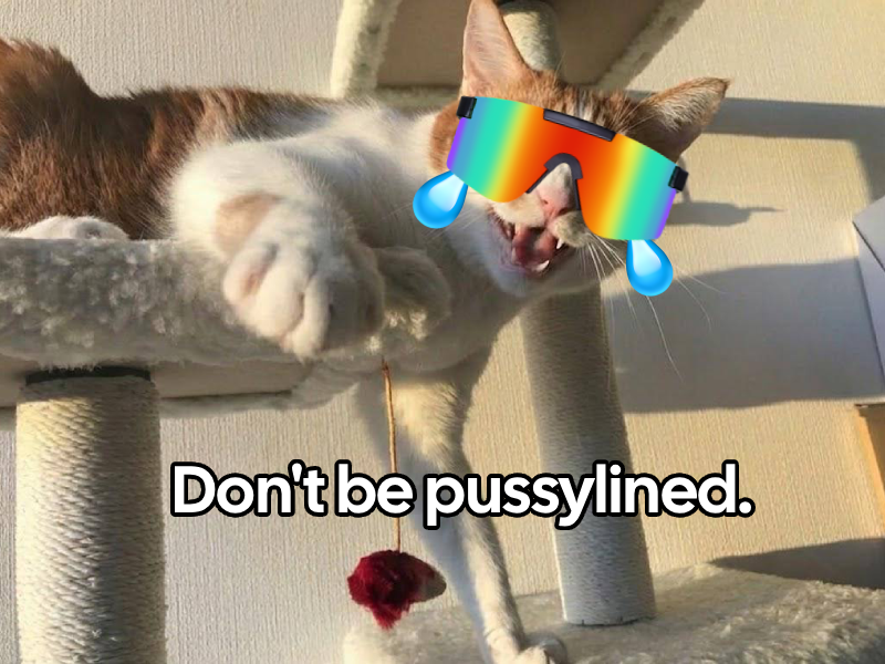 dimplebits tweet media