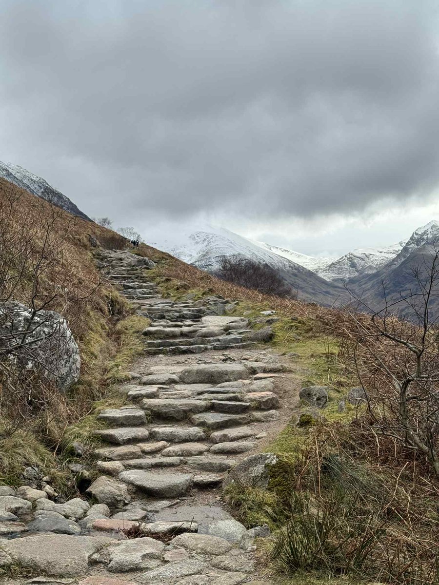We are proper hiking dogs now.... Ben Nevis 🏔️we might not have reached the summit but we got half way. Mum and dad kept telling us they were proud 🧡💙🩷🧡💙🩷