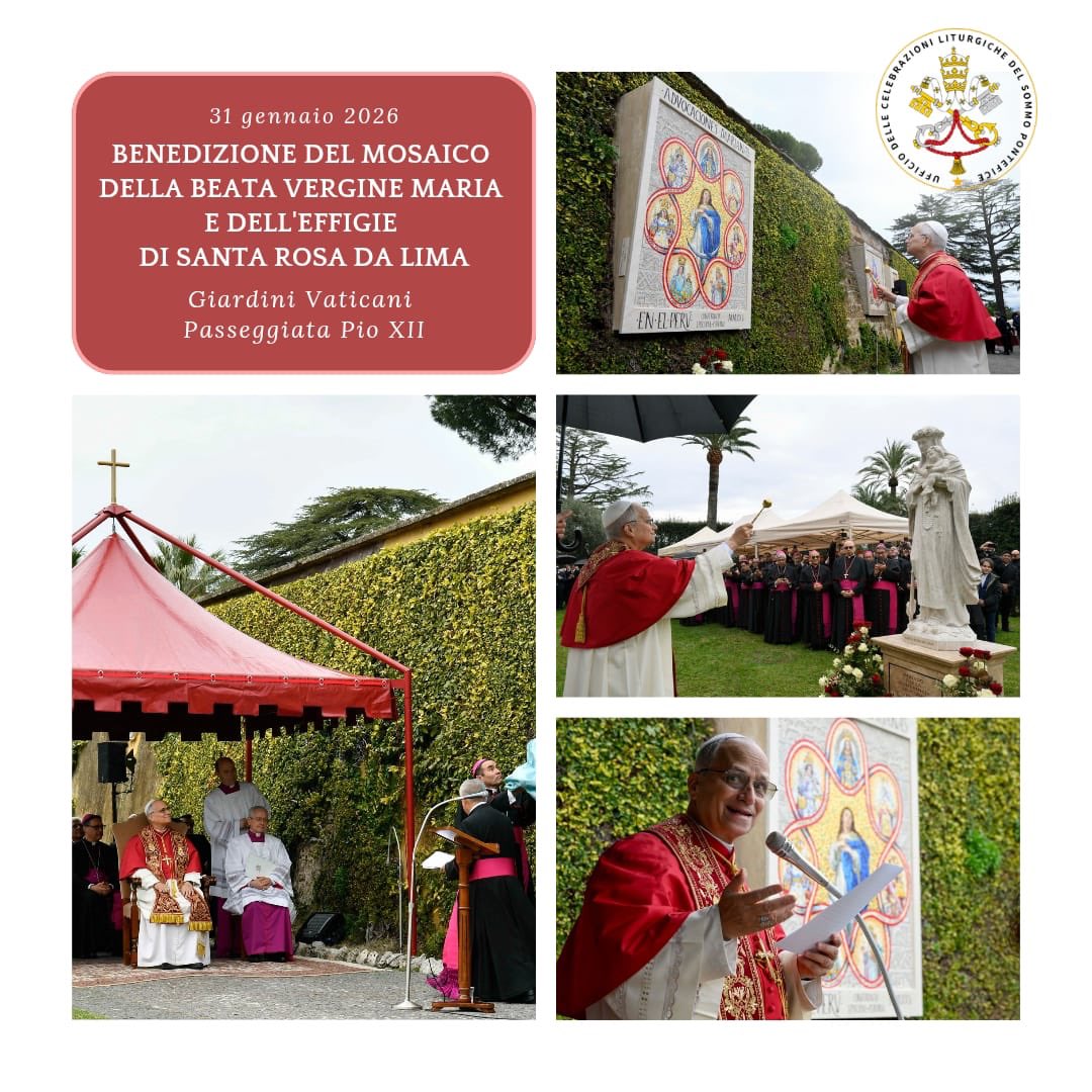 Celebrazioni Papali tweet media