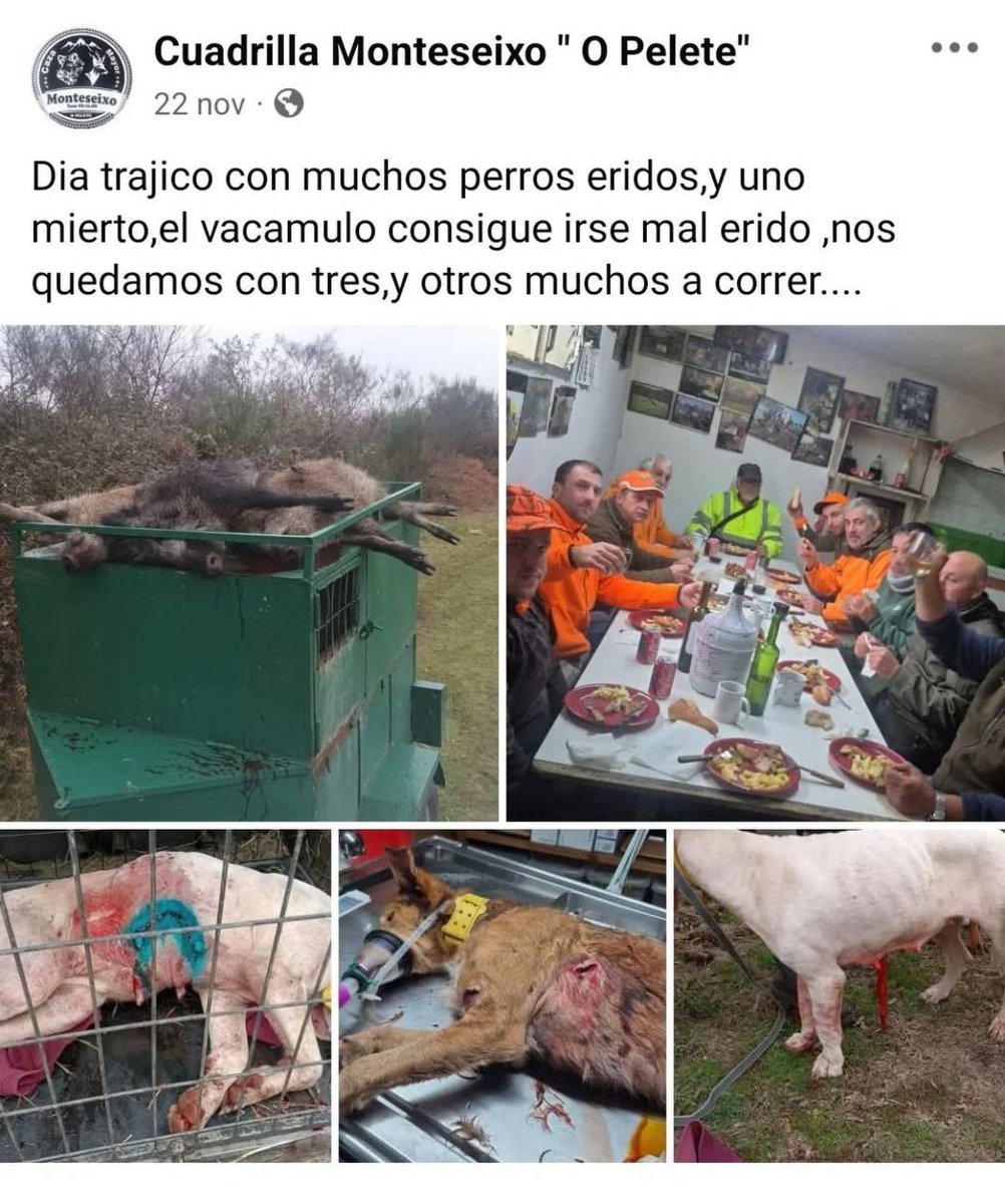 <a href="/pvallin/">Pedro Vallín</a> <a href="/FondoLobo/">Fondo para la Protección del Lobo Ibérico</a> La gentuza, regalándonos otro día trágico para los animales y para la ortografía. Esta banda son los que "gestionan el campo".