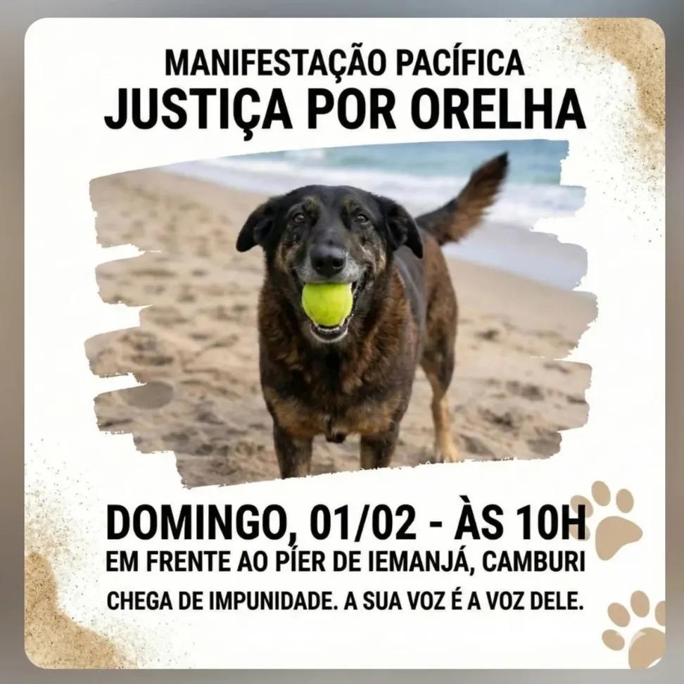 Domingo, dia 01/02, todas as capitais irão para as ruas pedir JUSTIÇA POR ORELHA. 
Vitória no ES 👇👇👇👇👇
