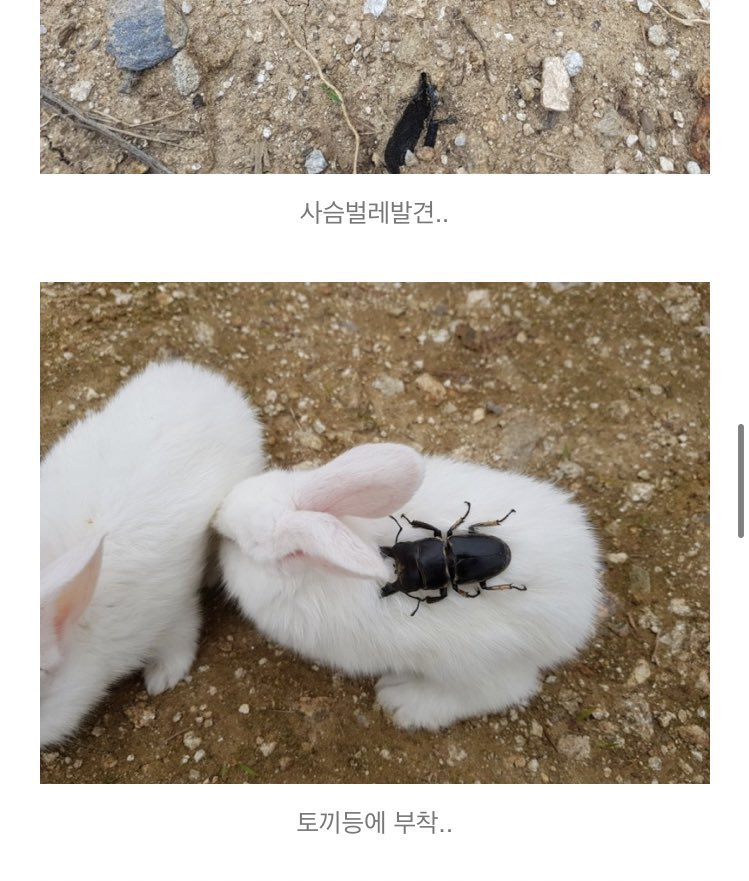 𝑂𝐻𝐶ꔛ tweet media