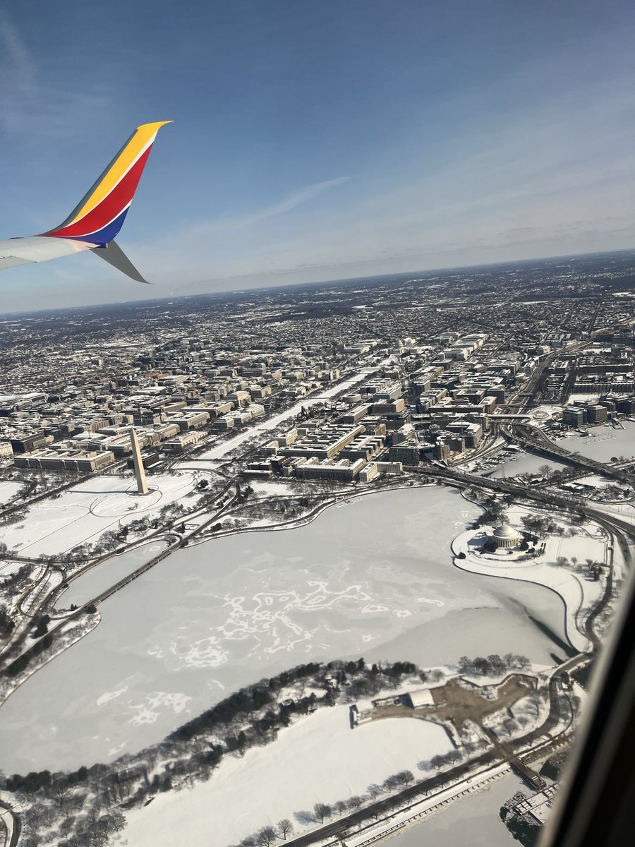 Katie Scally tweet media