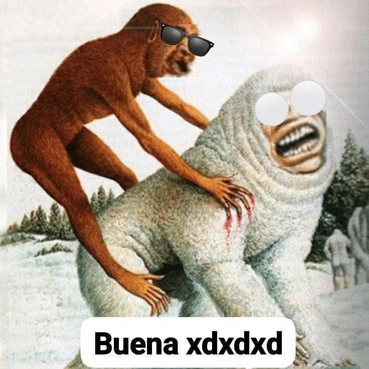 el inge bondiola tweet media