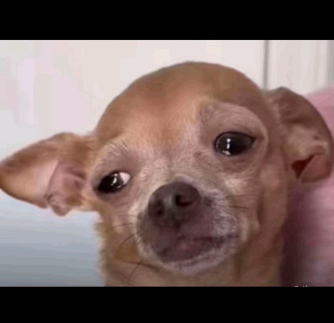 9ja Eyebee tweet media