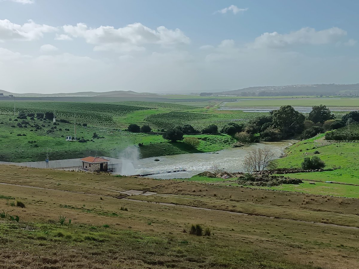 El tiempo en Cádiz 🌤️ tweet media