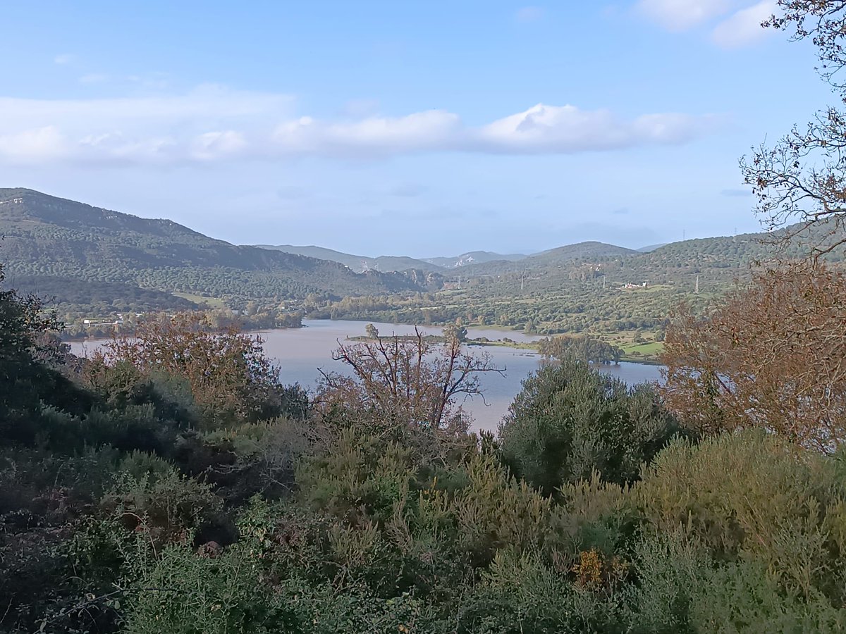 El tiempo en Cádiz 🌤️ tweet media