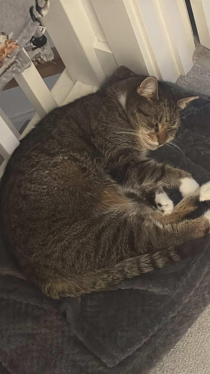 Lucy 🇪🇺💙 tweet media