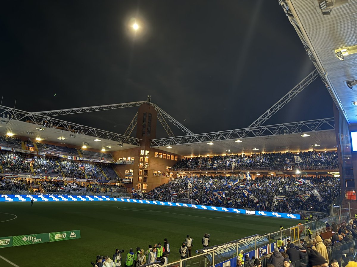 Lelio Alfonso tweet media