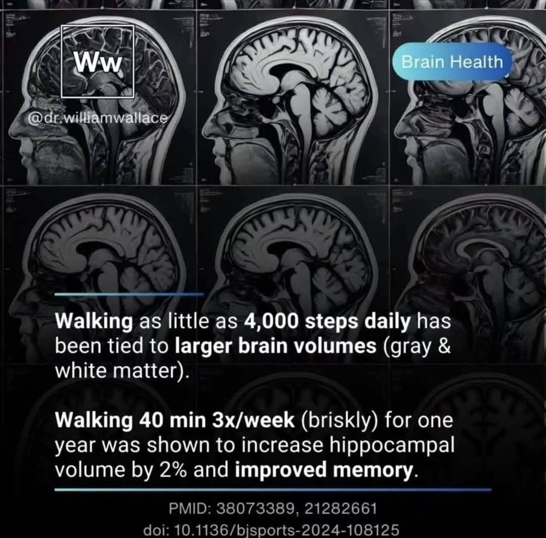 Physical activity is the most effective intervention available for promoting brain health and longevity. Recent research demonstrates that regular exercise, even in modest amounts, is effective for enhancing brain volume, improving memory, and reducing the risk of