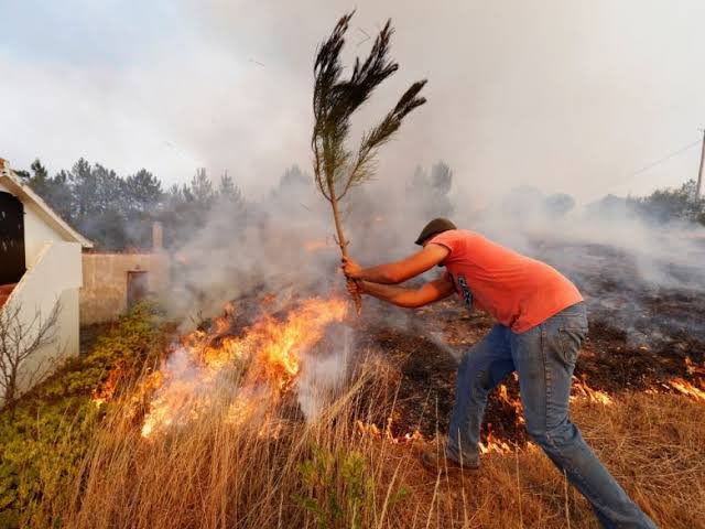 Shaun 101 owes us NOTHING!dude delivered!!!! Further more credit must also go to the party video controller or editor. Whoever is operating videography at the party please give them an increase. U good over. Some motions sync with songs. Amazing 👏🏽 #BBMzansiS6  <a href="/BBMzansi/">Big Brother Mzansi</a>