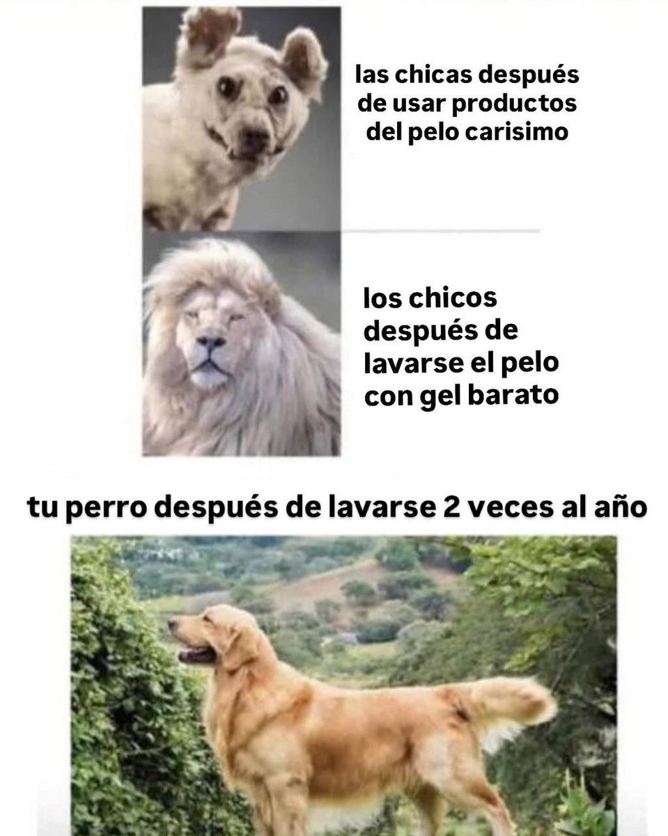 yisus young boi tweet media