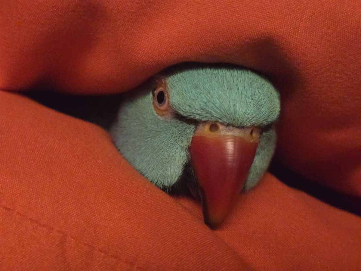 이불을 샀어요.