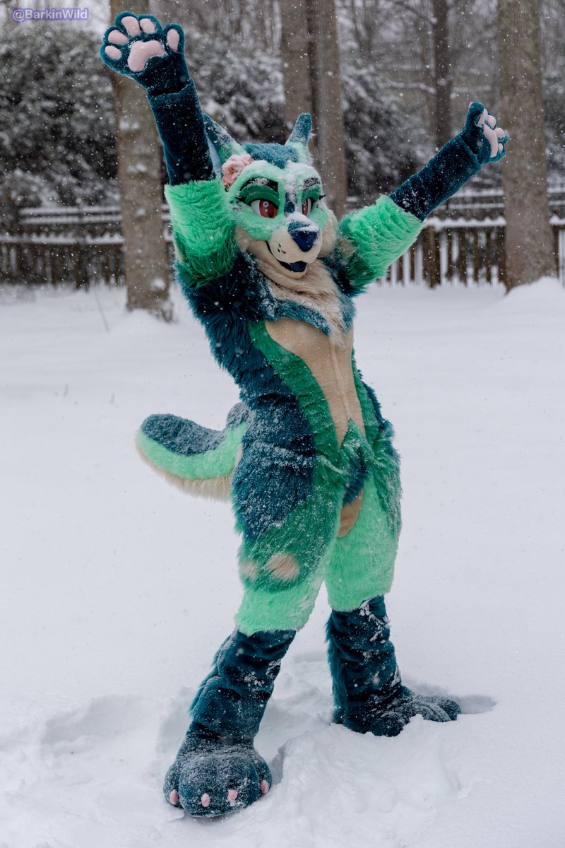 Signal 👻 tweet media