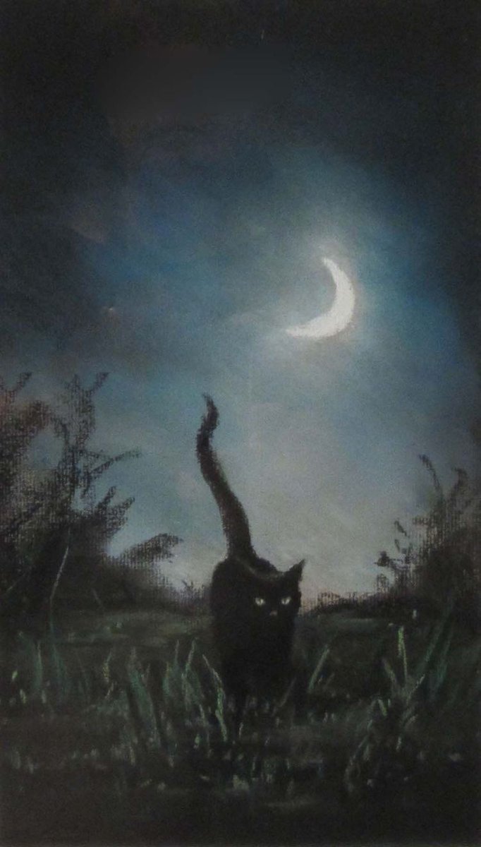 Black. (@blackdreamvibes) on Twitter photo 