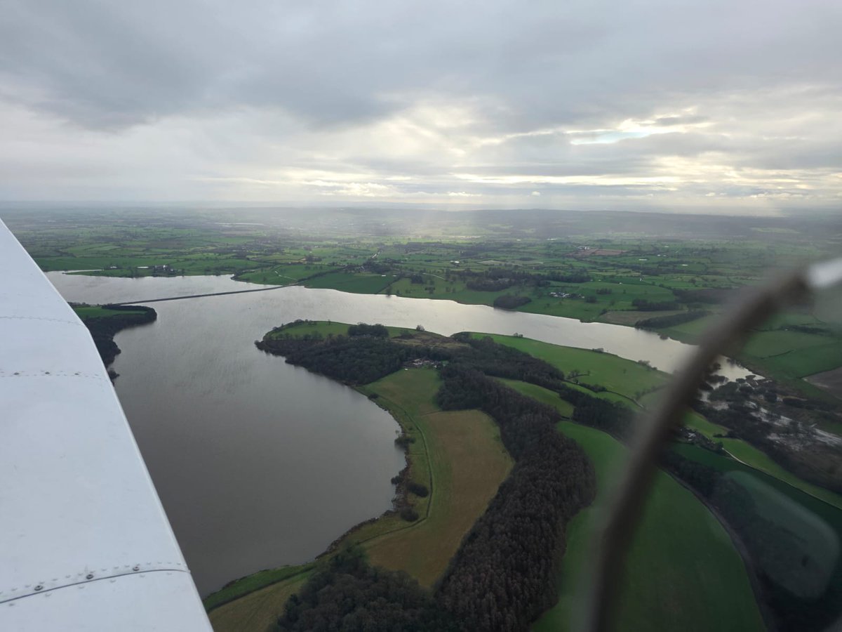 Terry Galloway tweet media