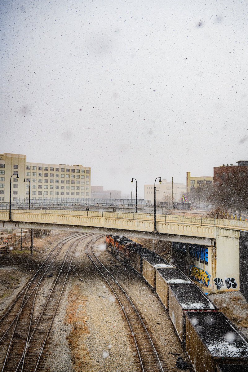 Cameron Lilly tweet media