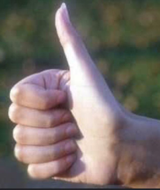 Beyond the Pale tweet media