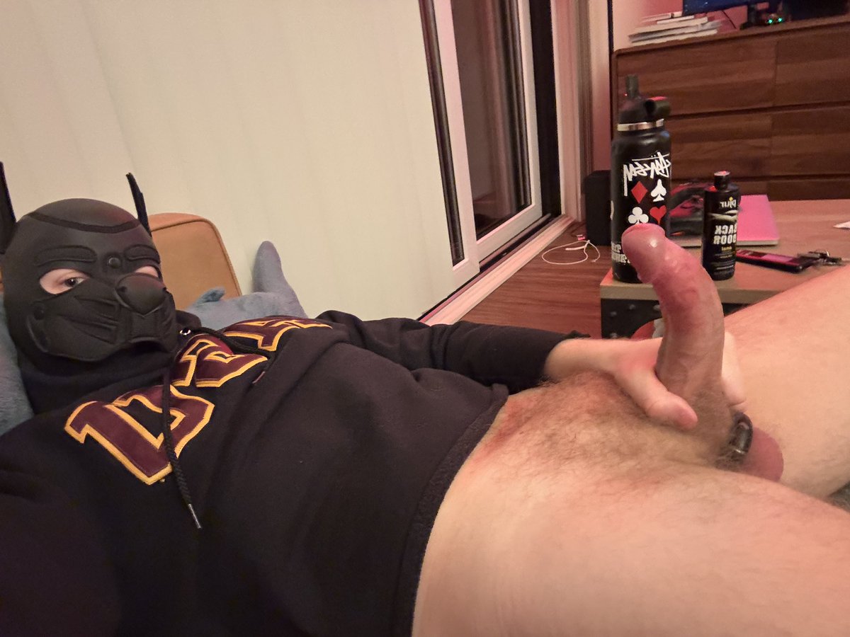 @PupDodger :3 tweet media