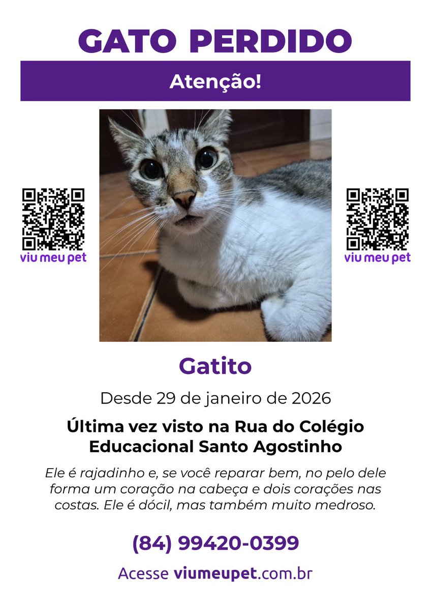 brunnhas's tweet image. glr meu gatinho sumiu :( quem puder ajudar a compartilhar eu agradeceria mt