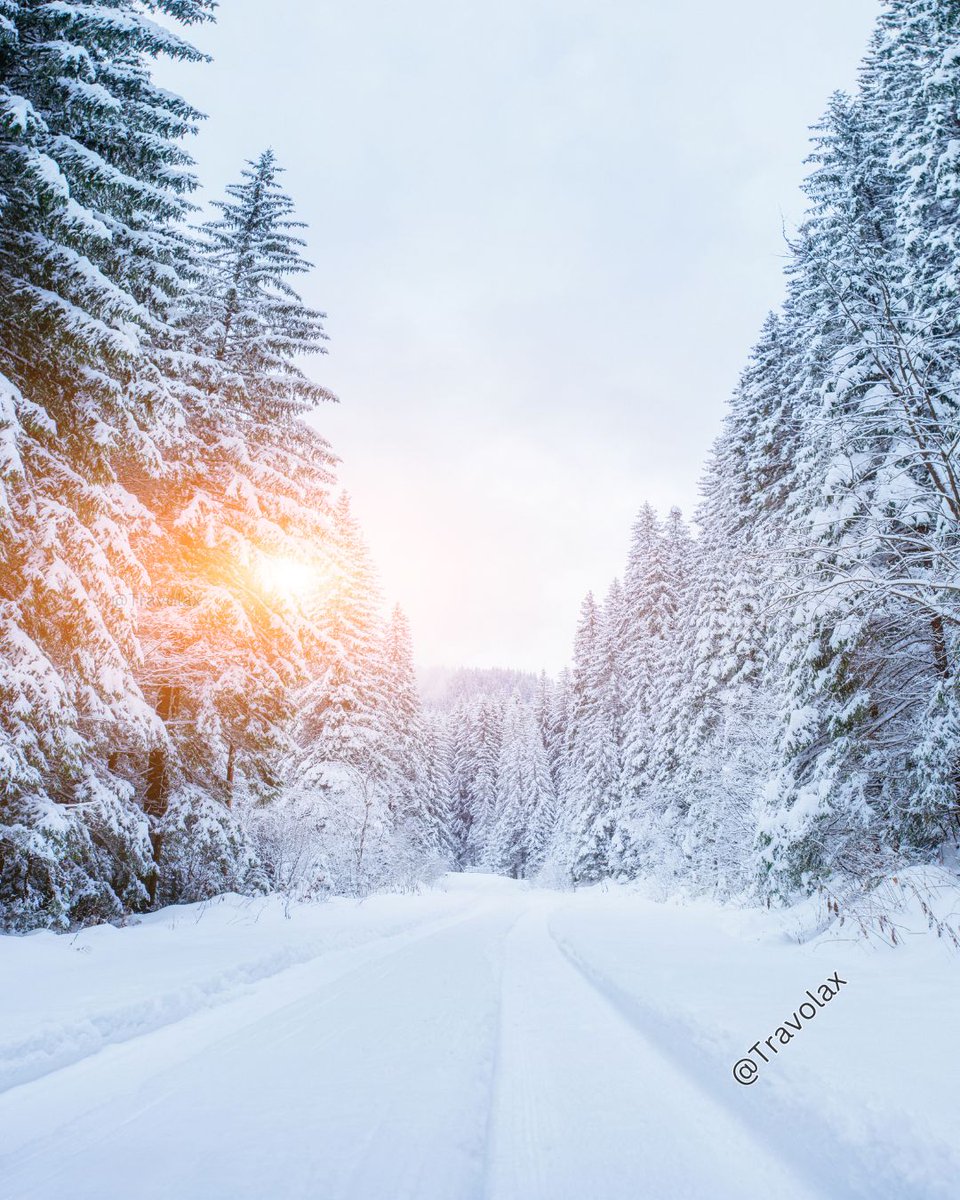 travolax's tweet image. The wild beauty of Alaska in the winter.